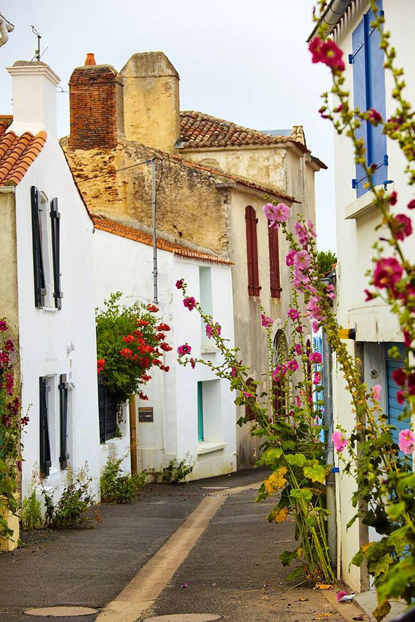 Maison Avec Jardin - Entre Plage Et Riviere Le Fenouiller Экстерьер фото